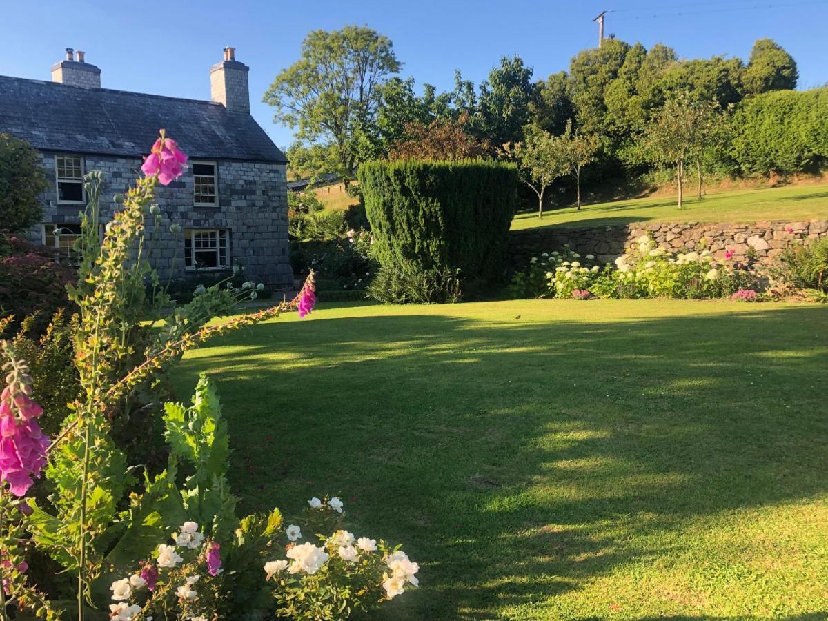 Lena At Wringworthy Farm On Dartmoor National Park, Close To Tavistock, Ideal Base For Exploring Devon And Cornwall, Hiking, Horse Riding, Golf, Fuelled By Energy Marytavy